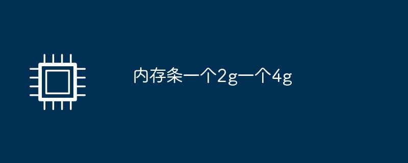 메모리 스틱, 2g 1개 및 4g 1개