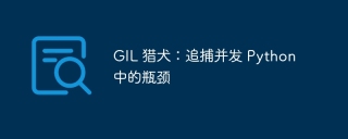 GIL 猎犬:追捕并发 Python 中的瓶颈