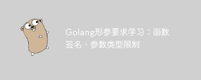 golang形参要求学习：函数签名、参数类型限制