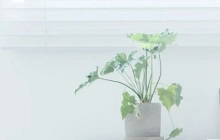 护眼屏是什么屏