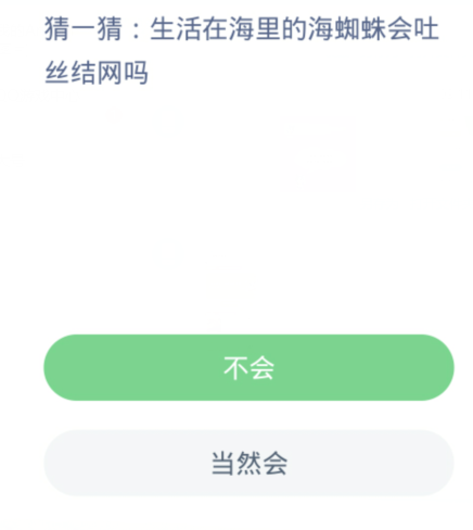 개미숲 마법의 바다 3월 3일: 바다에 사는 바다거미는 실크를 뽑고 거미줄을 만들 수 있을까요?