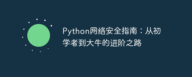 Python網路安全指南：從初學者到大牛的進階之路