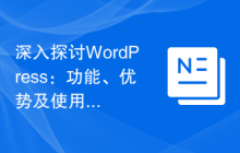 深入探讨WordPress：功能、优势及使用技巧