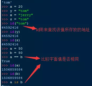 How to use python-python tutorial