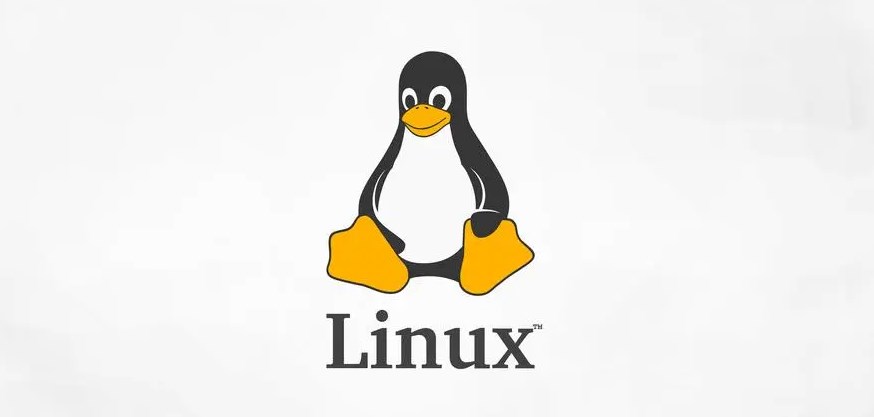 linux 中禁用USB存储
