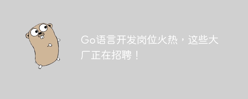 Go語言開發崗位火熱，這些大廠正在招募！