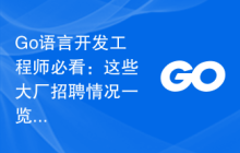Go语言开发工程师必看:这些大厂招聘情况一览!