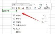 Microsoft Excel 2020怎么调整字间距-Microsoft Excel 2020调整字间距的方法