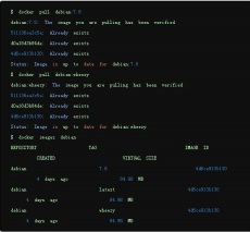 latest 标签在Docker 中的作用是什么?