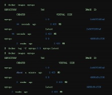 latest 标签在Docker 中的作用是什么?