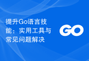 提升Go语言技能：实用工具与常见问题解决