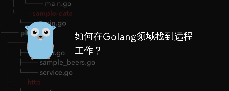 Comment trouver des emplois à distance à Golang ?