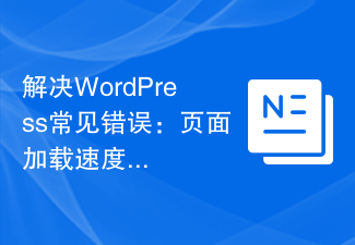 일반적인 WordPress 오류 해결: 느린 페이지 로딩 속도에 대한 분석 및 솔루션