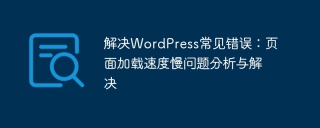 解决wordpress常见错误:页面加载速度慢问题分析与解决