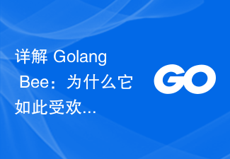 Golang Bee in detail: Why is it so popular?