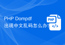 PHP Dompdf出现中文乱码怎么办？