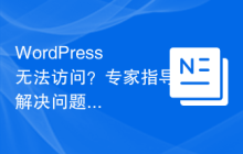 WordPress无法访问？专家指导解决问题！
