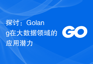 探讨：Golang在大数据领域的应用潜力