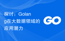 探讨:Golang在大数据领域的应用潜力