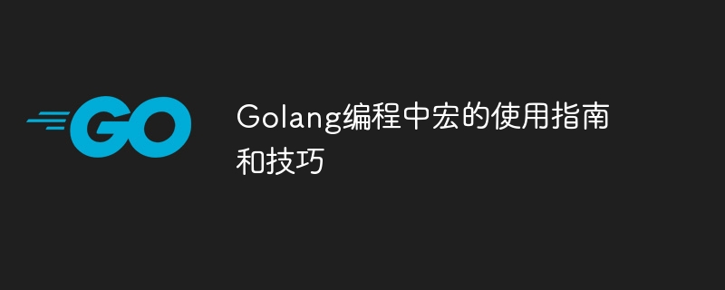 golang编程中宏的使用指南和技巧