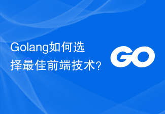 Golang如何选择最佳前端技术？