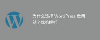 为什么选择 wordpress 做网站?优势解析