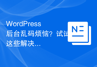 WordPress バックエンドのコードの文字化けが心配ですか?これらの解決策を試してください