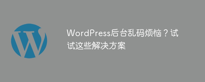 WordPress 백엔드 잘못된 코드가 걱정되나요? 다음 솔루션을 사용해 보세요