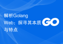解析Golang Web：探寻其本质与特点