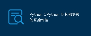 Python CPython 与其他语言的互操作性