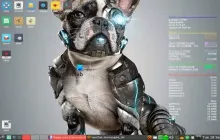 适用于低端或较旧计算机的最佳轻量级Linux发行版