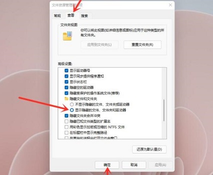 win11如何開啟隱藏文件