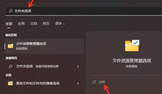 win11如何開啟隱藏文件