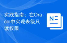 实践指南：在Oracle中实现表级只读权限