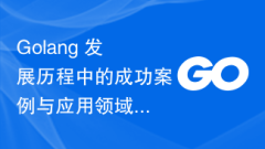 Golang開発プロセスにおける成功事例と応用分野の研究