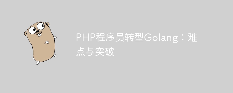 PHP プログラマーが Golang に変身: 困難と突破口