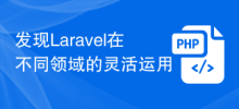 さまざまな分野での Laravel の柔軟な使用法を発見する