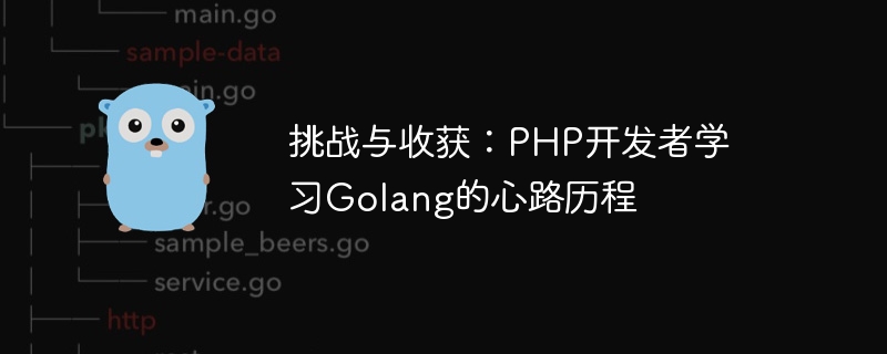 課題と利点: PHP 開発者の Golang 学習の旅