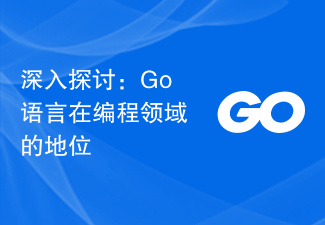 深入探讨：Go语言在编程领域的地位