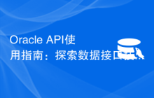 Oracle API使用指南：探索数据接口技术