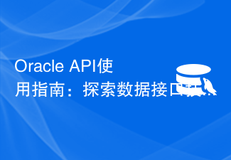 Oracle API-Nutzungshandbuch: Erkundung der Datenschnittstellentechnologie