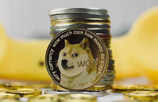 Le bull dog sera-t-il une pièce 100x en 2024 ? De combien Dogecoin augmentera-t-il lors du prochain marché haussier ?