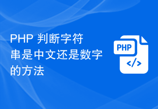 文字列が中国語か数値かを判断する PHP メソッド