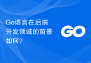 Go语言在后端开发领域的前景如何？