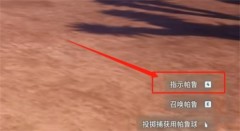 幻兽帕鲁怎么指挥宠物攻击
