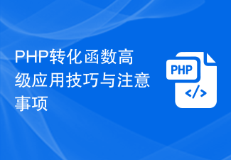 Petua aplikasi lanjutan dan langkah berjaga-jaga untuk fungsi penukaran PHP