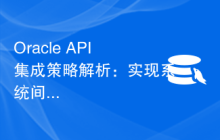 Oracle API集成策略解析：实现系统间无缝通信