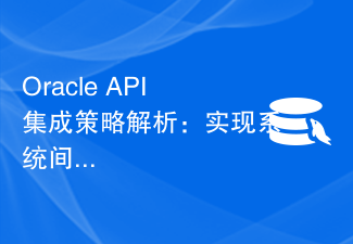 Oracle API 통합 전략 분석: 시스템 간 원활한 통신 달성