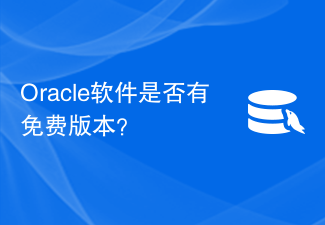 Oracle 소프트웨어의 무료 버전이 있습니까?