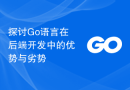 探讨Go语言在后端开发中的优势与劣势